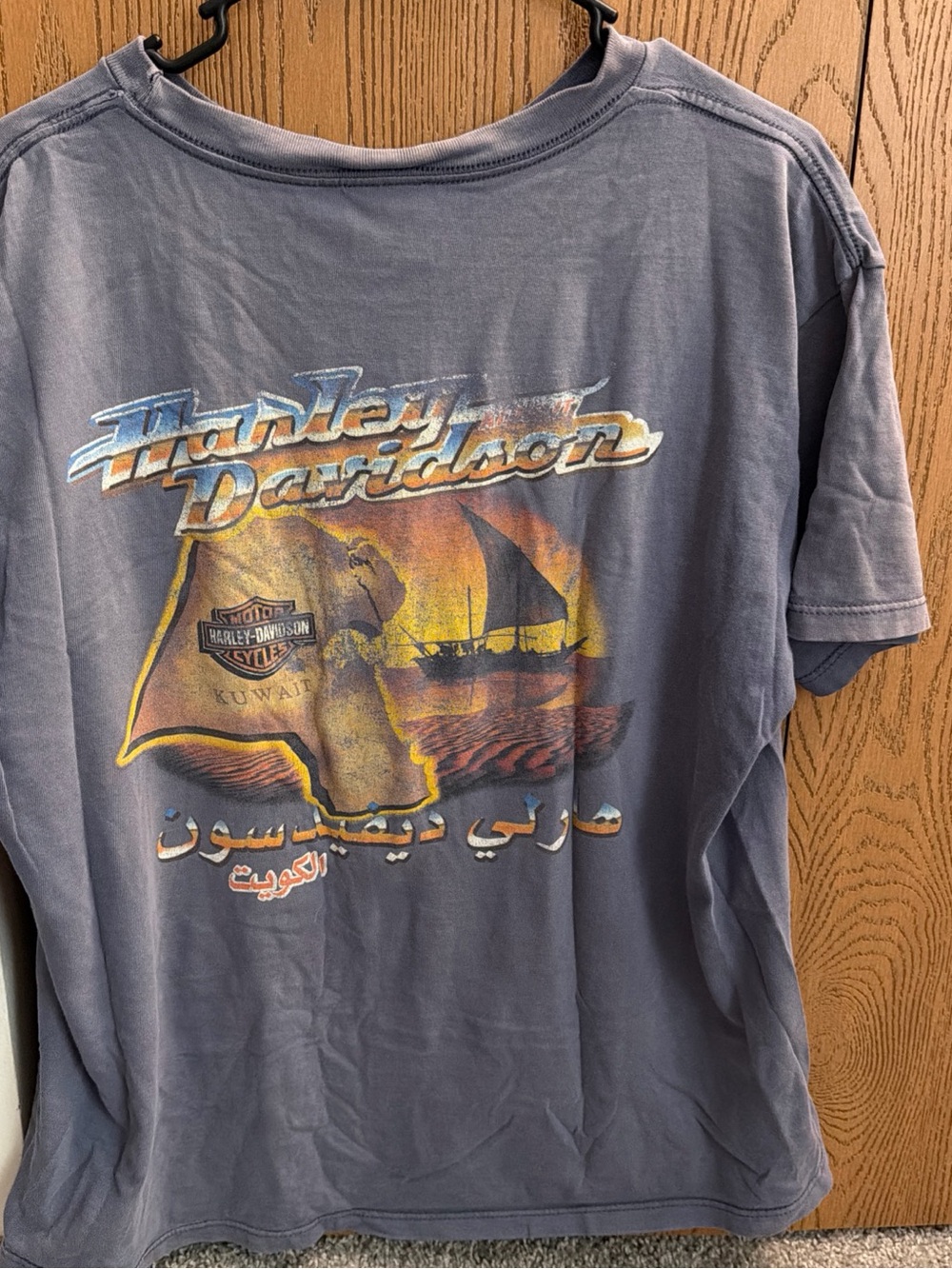 Harley-Davidson Gray Blue Graphic Short-Sleeve Tee